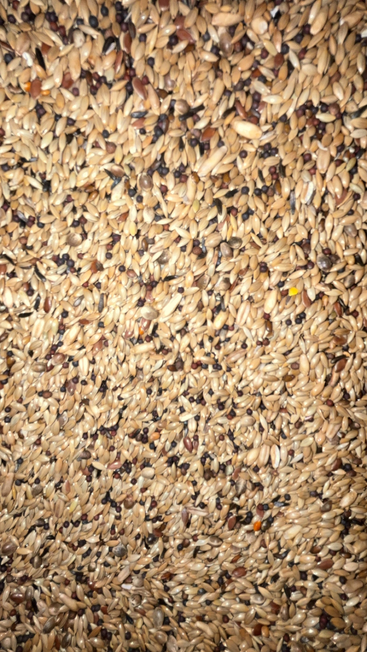 Mélange graines "Canaris"