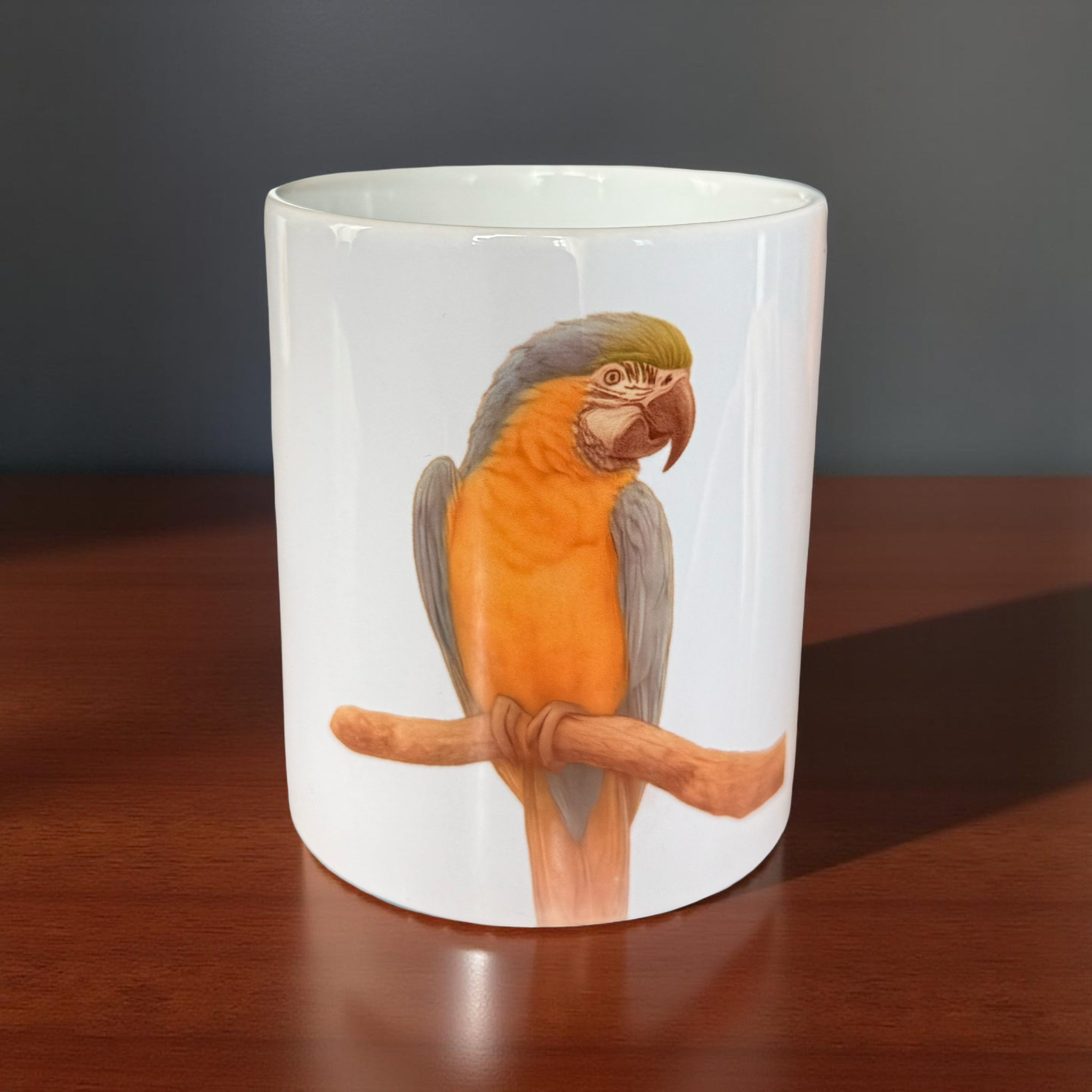 Mug Ara Ararauna