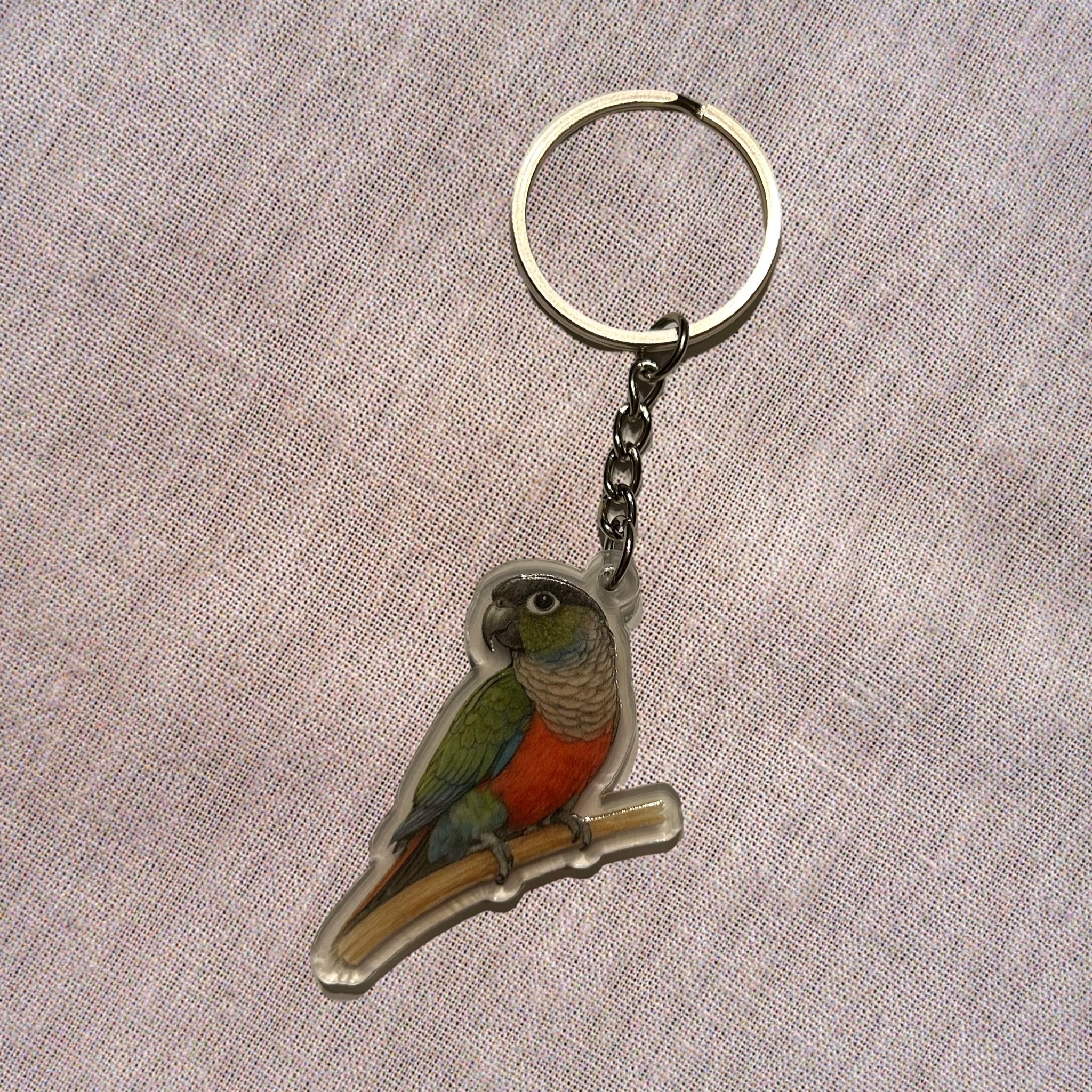 Porte-clés Conure à ventre rouge
