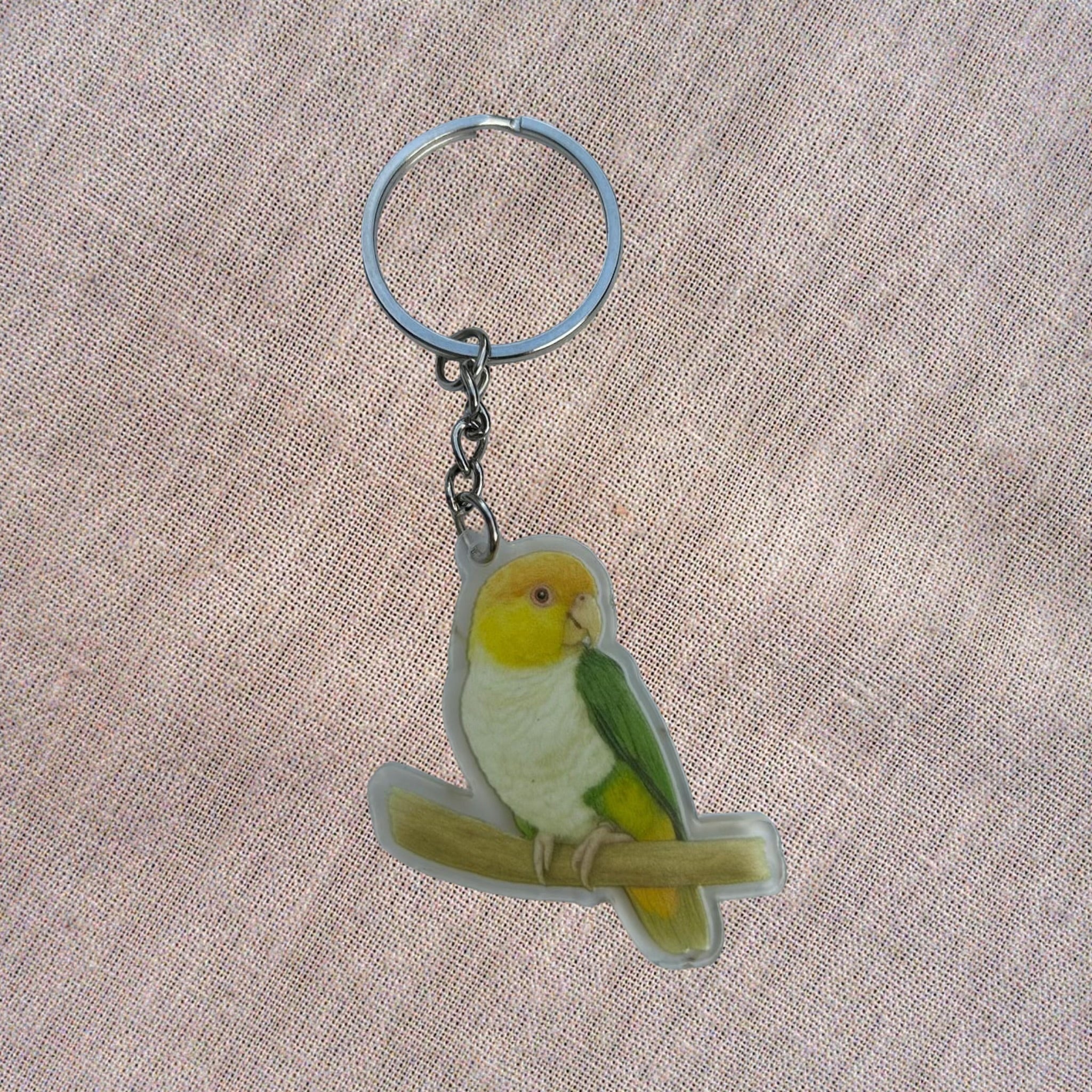 Porte-clés Caïque à ventre blanc