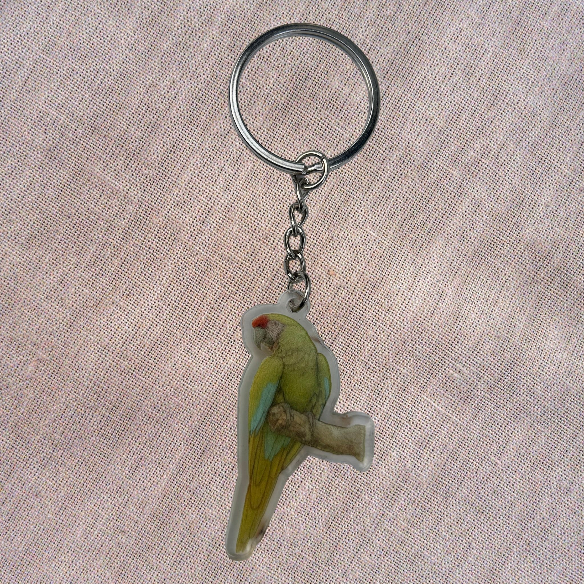 Porte-clés Ara de Buffon