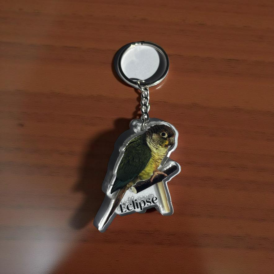 Porte-clés  Éclipse