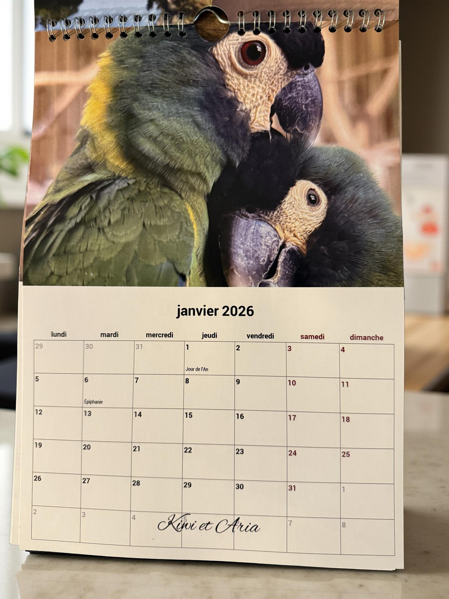 Calendrier de L'arche 2026