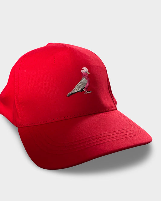 Casquette